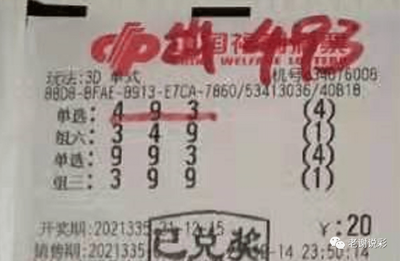 新奧門彩天天開獎資料一網(wǎng)羅萬象，揭秘彩票奧秘，揭秘彩票奧秘，新奧門彩天天開獎資料一網(wǎng)羅萬象