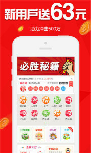王中王欲錢請(qǐng)猜一肖，揭秘生肖之謎與SEO策略，揭秘生肖之謎與SEO策略，王中王欲錢請(qǐng)猜一肖的奧秘