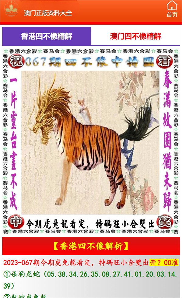 澳門必開(kāi)一肖中特，揭秘生肖彩票的魅力與策略，揭秘澳門生肖彩票的魅力，必開(kāi)一肖中特與策略解析