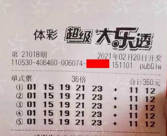 王中王018期指一生肖，揭秘背后的奧秘與意義，揭秘生肖奧秘，王中王生肖背后的意義與秘密