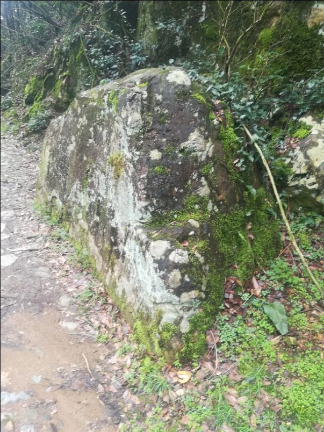 香港 第207頁