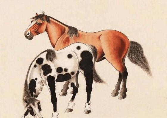 馬一王中王特平一肖圖，深度解析與SEO優(yōu)化策略，深度解析馬一王中王特平肖圖，SEO優(yōu)化策略探討