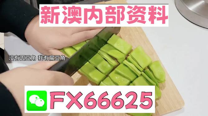 新澳精選資料免費(fèi)提供，探索優(yōu)質(zhì)資源的海洋，新澳精選資料免費(fèi)探索，優(yōu)質(zhì)資源海洋的開啟