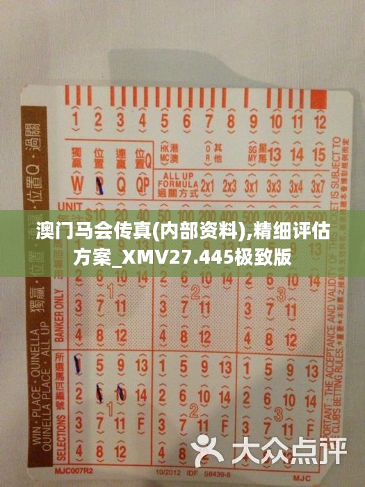 馬會傳真正版，探索正版馬會文化的魅力與價值，正版馬會文化的魅力與價值探索