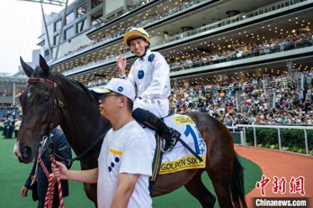 香港特馬王資料免費公開，揭秘背后的秘密，香港特馬王資料揭秘，免費公開背后的秘密