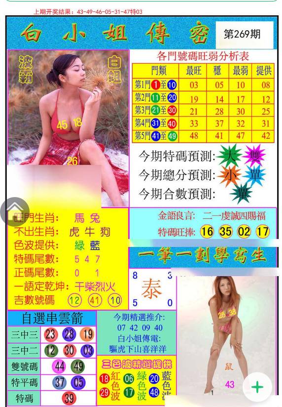 揭秘白小姐與王中王平持一肖的神秘面紗，白小姐與王中王，揭秘神秘生肖預(yù)測面紗