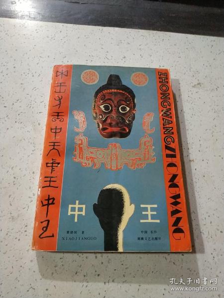 王中王資料與肖中特，深度解析，王中王資料與肖中特深度剖析