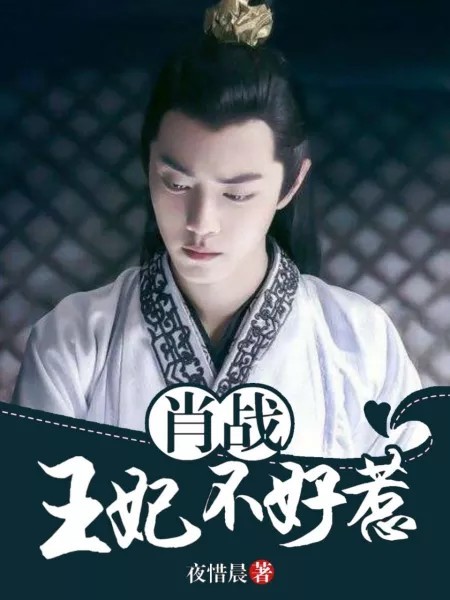 王中王王的妃子一肖，歷史、傳說與現(xiàn)代解讀的SEO文章，王中王王的妃子一肖，歷史傳說與現(xiàn)代解讀的探尋