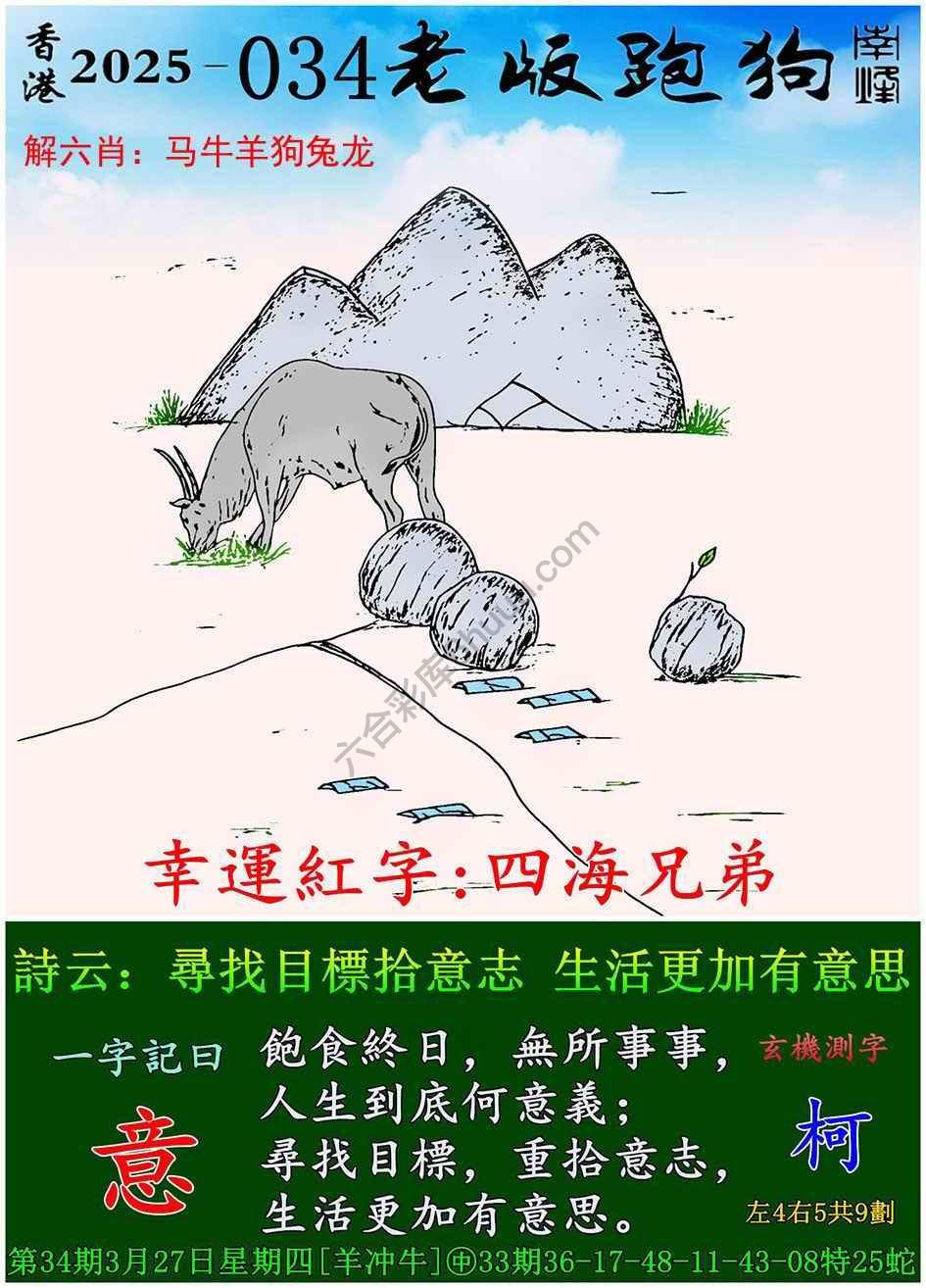 全新升級！探索7777788888新版跑狗資料，全新升級！探索跑狗資料7777788888新版揭秘