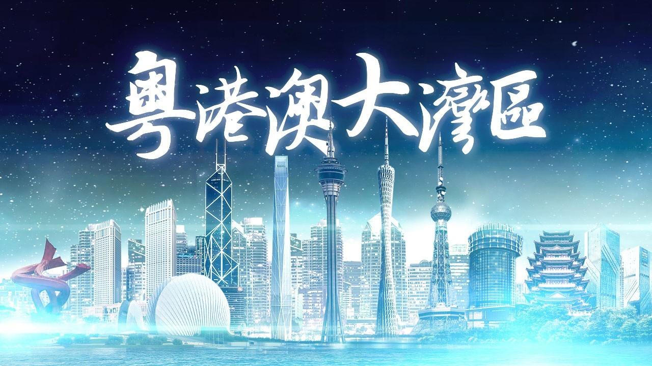 2025年香港正版免費(fèi)資料全面解析，香港正版免費(fèi)資料全面解析（2025版）
