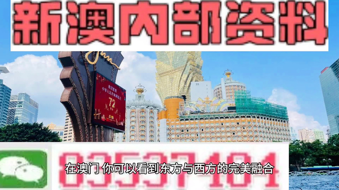 新澳新澳門正版資料，探索與解析，新澳新澳門正版資料深度解析與探索