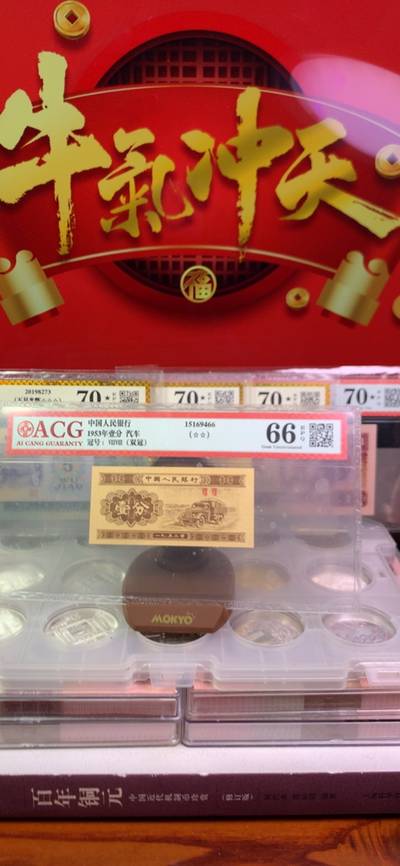 王中王廣東一肖，探尋背后的故事與奧秘，王中王廣東一肖，背后的故事與奧秘探尋