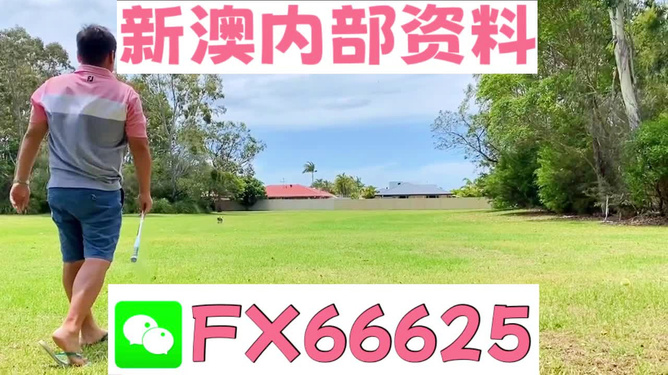 王中王兩肖一碼，揭秘背后的奧秘，王中王兩肖一碼揭秘，背后的秘密與奧秘