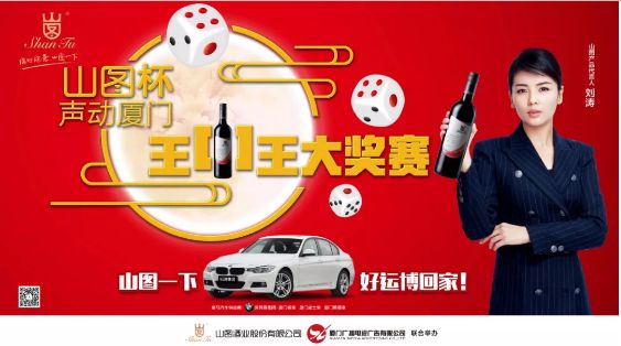 揭秘王中王背后的故事，從肖中的視角看其在SEO領(lǐng)域的輝煌成就，肖中視角下的王中王，SEO領(lǐng)域的輝煌成就揭秘