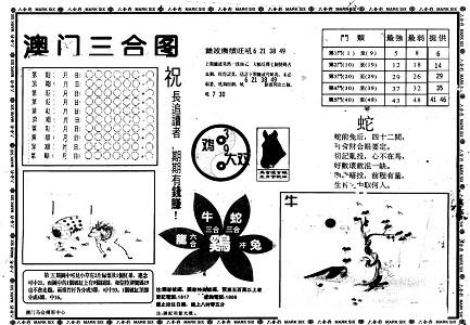 王中王資料一肖中特官婆，深度解析與SEO優(yōu)化策略，王中王資料一肖中特官婆深度解析與SEO優(yōu)化策略探討
