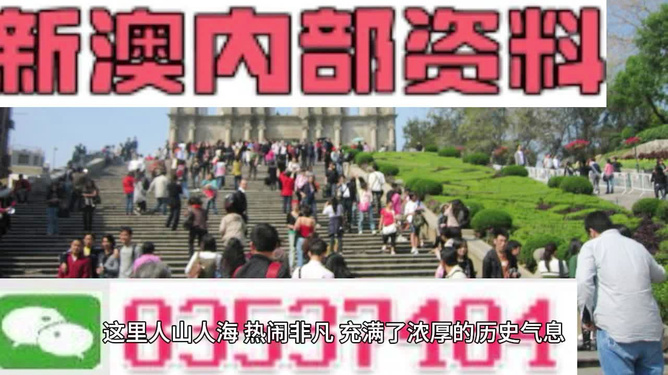 澳門最精準免費資料大全旅游團，探索澳門之旅的完美選擇，澳門最精準免費資料大全旅游團，探索澳門之旅的不二之選