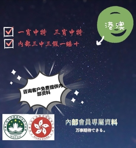 揭秘香港王中王，探尋肖中特背后的秘密，揭秘香港王中王背后的秘密與肖中特真相探索
