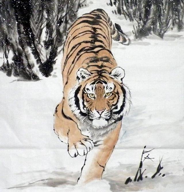 猛虎下山王中王，揭秘一生肖的神秘魅力，揭秘生肖之王——猛虎下山之神秘魅力