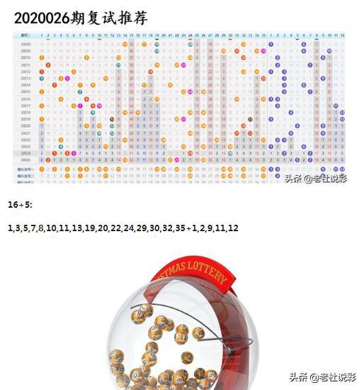 王中王026期指一生肖，深度解讀與SEO優(yōu)化策略，王中王026期生肖深度解讀與SEO優(yōu)化策略全解析
