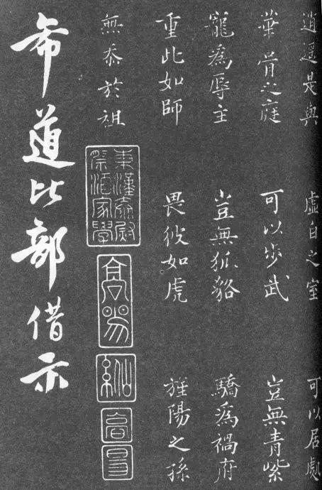 一肖二碼中特的意思解析，一肖二碼中特的意思深度解析