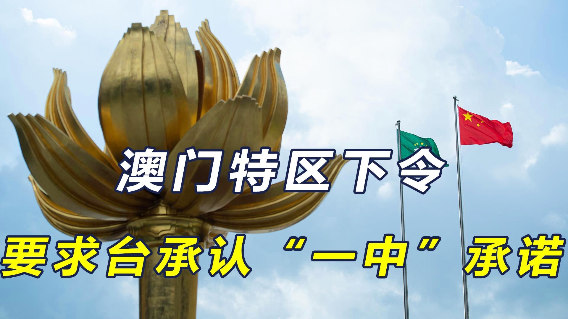 澳門一碼一肖一特一中今晚預(yù)測與探索，澳門今晚一碼一肖一特一中預(yù)測與揭秘