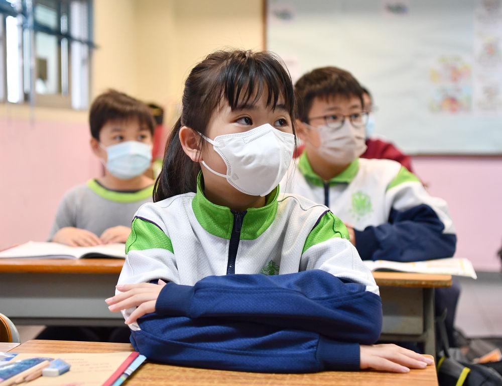 香港今晚必開一肖，深度解析與預測，香港今晚生肖預測，深度解析與獨家預測