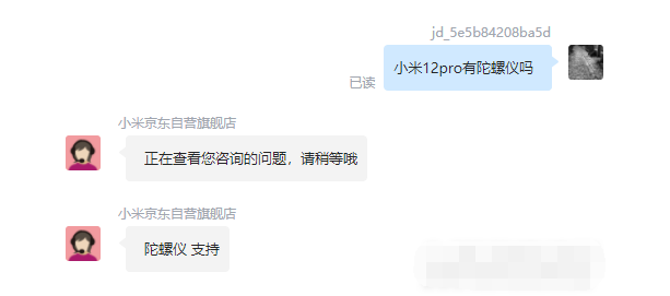 王中王一肖碼，探索關(guān)鍵詞背后的奧秘，王中王一肖碼，揭秘關(guān)鍵詞背后的奧秘