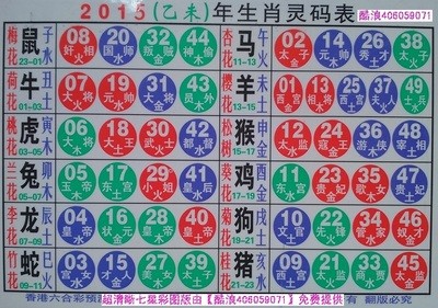 揭秘2025十二生肖與數(shù)字彩票的神奇聯(lián)系——49碼表全解析，揭秘十二生肖與數(shù)字彩票的神秘聯(lián)系，2025年49碼表深度解析