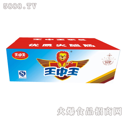 王中王一肖特圖，揭秘背后的故事與魅力，揭秘王中王一肖特圖的背后故事與魅力