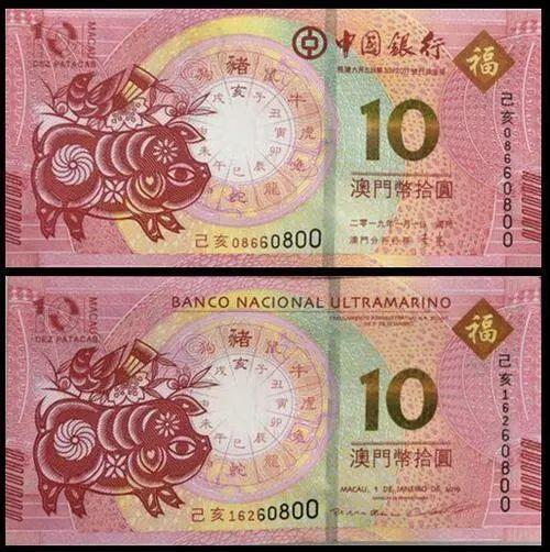 澳門天天彩期期精準十二生肖預測——揭秘彩票背后的秘密，澳門天天彩期期精準十二生肖預測，彩票背后的秘密大揭秘