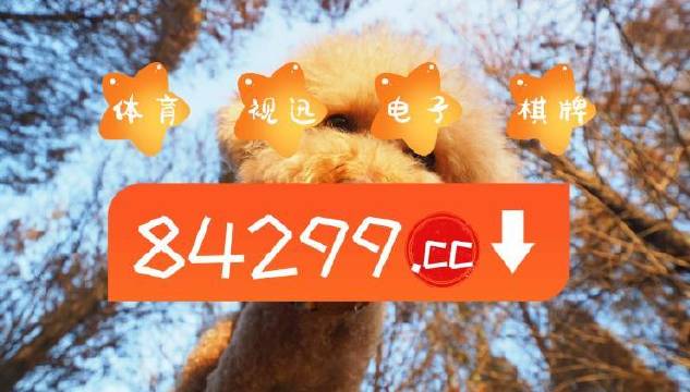 今期必中一肖一碼白小姐，揭秘彩票背后的秘密與策略，揭秘彩票背后的秘密與策略，白小姐今期必中一肖一碼解析