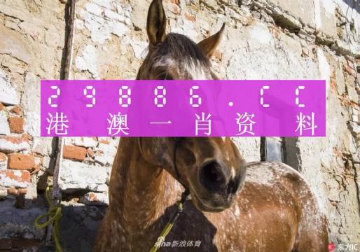 王中王資料一門肖中，深度解析與探索，王中王資料一門肖詳解，深度解析與探索