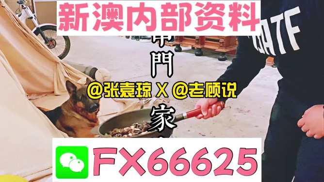 新澳門(mén)精準(zhǔn)資料大全，管家婆料解析與探索，澳門(mén)精準(zhǔn)資料大全，管家婆料解析與深度探索