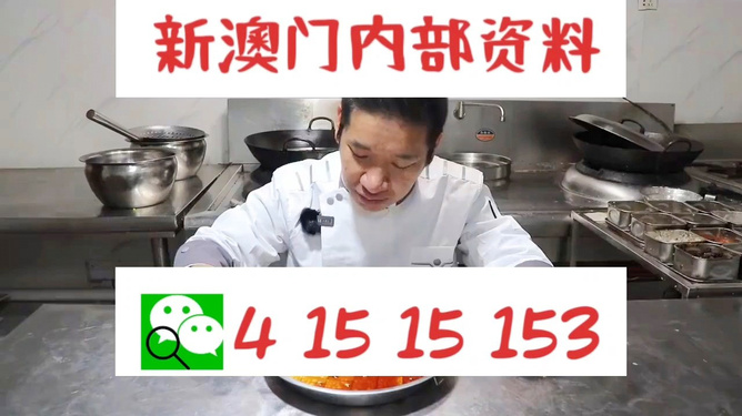 管家婆一肖資料大全，深度解析與探索，管家婆一肖資料深度解析與探索大全