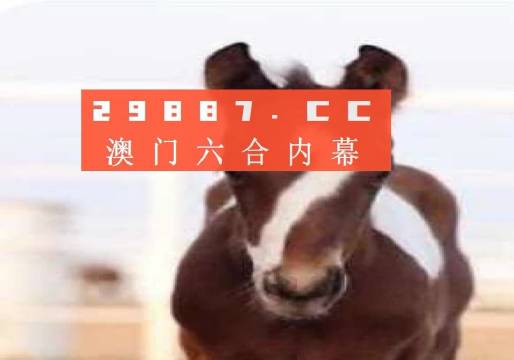 澳門必開一肖一碼安穩(wěn)，揭秘彩票背后的秘密與策略，揭秘彩票背后的秘密與策略，澳門必開一肖一碼安穩(wěn)探討