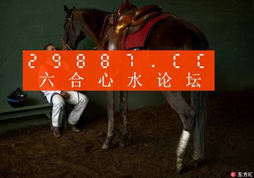 一肖一馬王中王一馬中特，深度解析與SEO優(yōu)化策略，一肖一馬王中王深度解析與SEO優(yōu)化策略探討