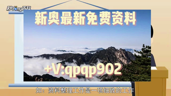 新奧49正版資料，全面解析與SEO優(yōu)化策略，新奧49正版資料詳解與SEO優(yōu)化策略探討