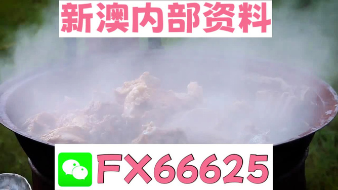 新澳全年免費資料大全，一站式獲取優(yōu)質(zhì)資源指南，新澳全年優(yōu)質(zhì)資源免費獲取指南