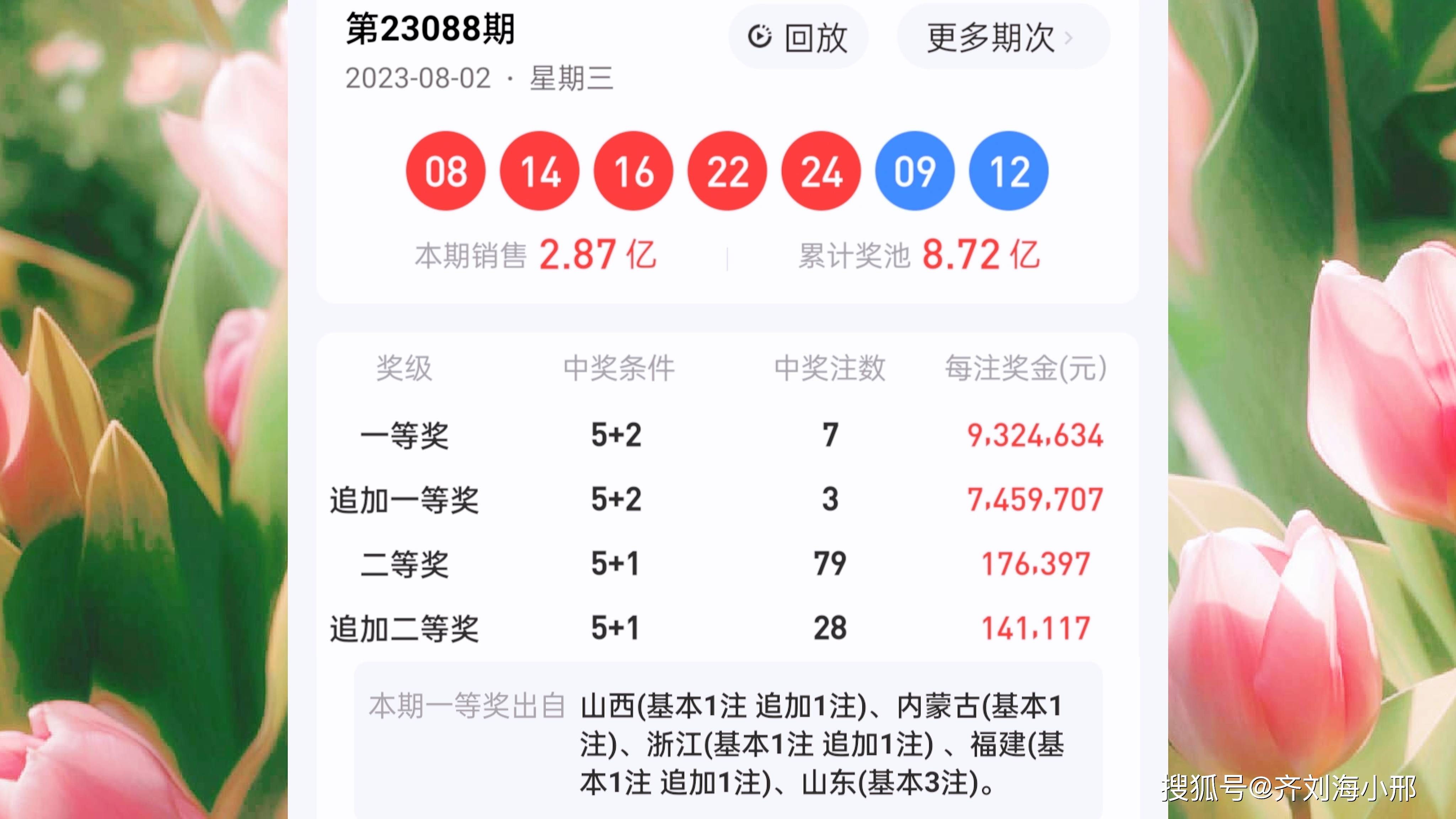 最新開(kāi)獎(jiǎng)結(jié)果揭曉，王中王與一肖中的幸運(yùn)時(shí)刻，王中王與一肖中幸運(yùn)時(shí)刻揭曉，最新開(kāi)獎(jiǎng)結(jié)果出爐