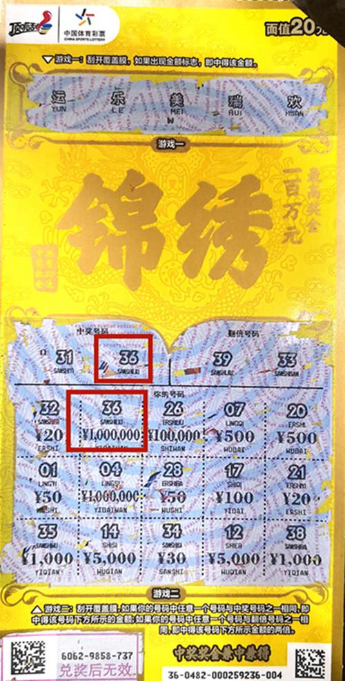 王中王六肖一碼期期中的奧秘與探索，王中王六肖一碼期奧秘揭秘與探索
