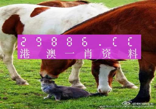 新奧門一肖一碼，揭秘精準(zhǔn)預(yù)測的秘密，揭秘新澳門一肖一碼精準(zhǔn)預(yù)測的秘密