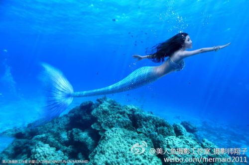 澳門美人魚最快開獎結(jié)果圖——揭秘?zé)衢T彩票游戲背后的秘密，澳門美人魚彩票開獎揭秘，最新結(jié)果圖與游戲背后秘密探索