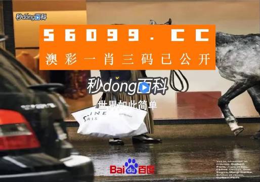 新澳一碼三中三資料，探索與解析，新澳一碼三中三資料解析與探索