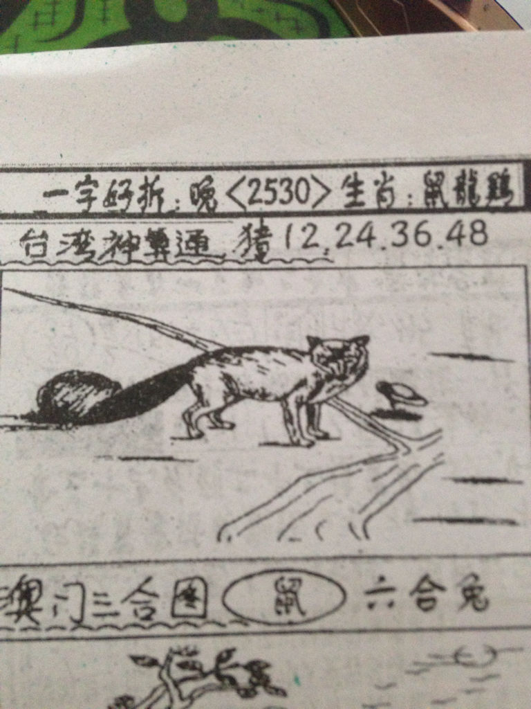 揭秘劉伯溫的生肖，一場(chǎng)看圖尋特之旅，揭秘劉伯溫生肖之謎，一場(chǎng)生肖圖片探尋之旅