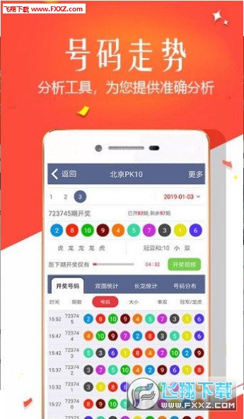 王中王四肖選一，揭秘選擇與優(yōu)化策略，王中王四肖選一，選擇與優(yōu)化策略的揭秘