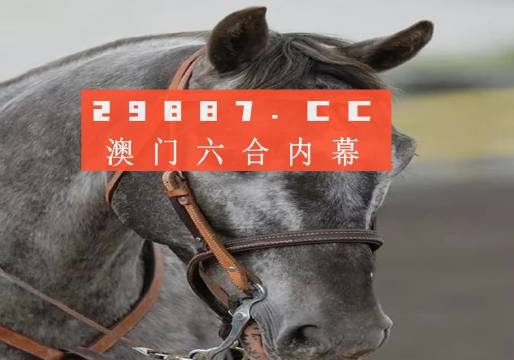 澳門一一碼一特一中準(zhǔn)選今晚，探索真實(shí)有效的選擇與策略，澳門今晚一特一中準(zhǔn)選碼，真實(shí)有效的選擇與策略探索