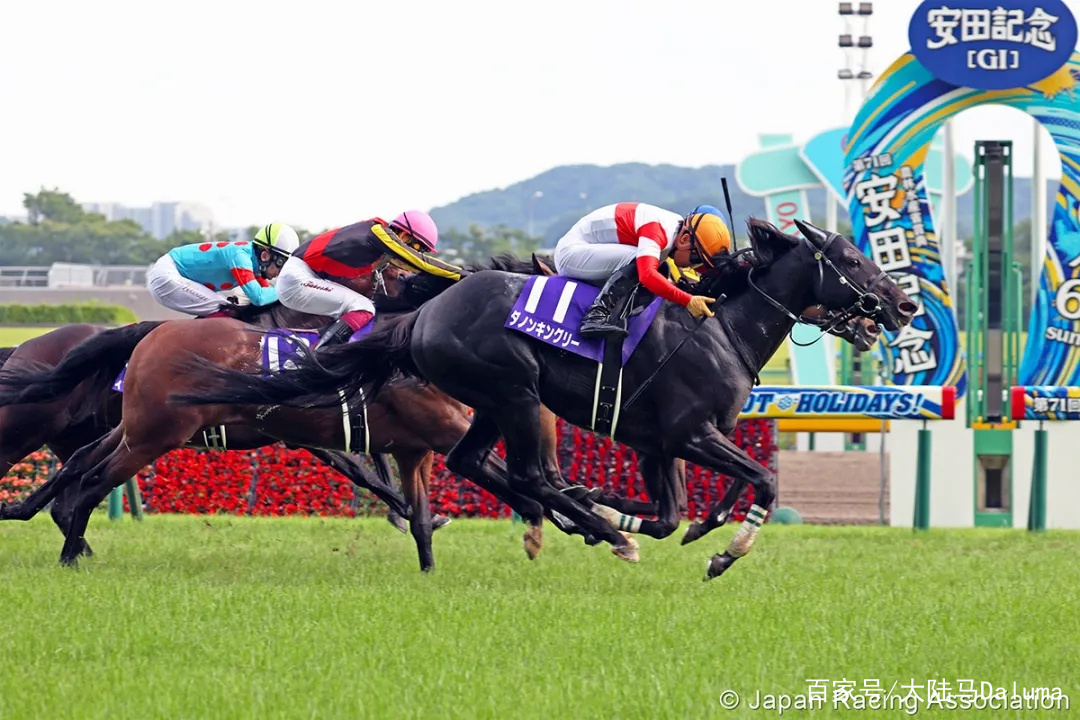 香港王中王與一馬中特肖的獨特魅力，深度解析與探索，香港王中王與一馬中特肖的獨特魅力，深度探索與解析