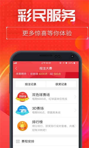 一肖二碼中特王中王——揭秘彩票背后的秘密，揭秘彩票背后的秘密，一肖二碼中特王中王的故事