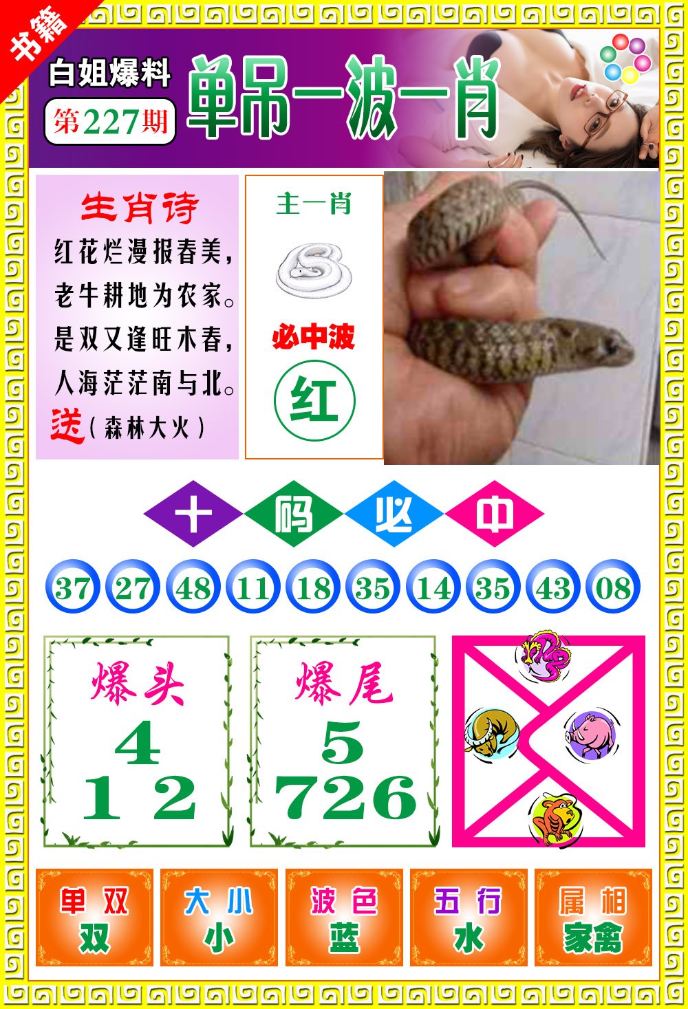 王中王免費開獎一肖結(jié)果，揭秘彩票背后的秘密，揭秘王中王彩票開獎內(nèi)幕，一肖結(jié)果背后的秘密揭曉