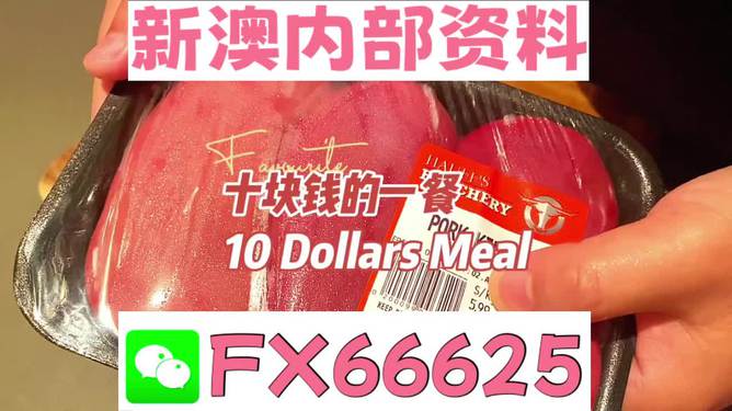 揭秘2025新澳精準(zhǔn)資料免費(fèi)大全——一站式獲取最新資源，揭秘2025新澳精準(zhǔn)資料免費(fèi)大全，最新資源一站式獲取